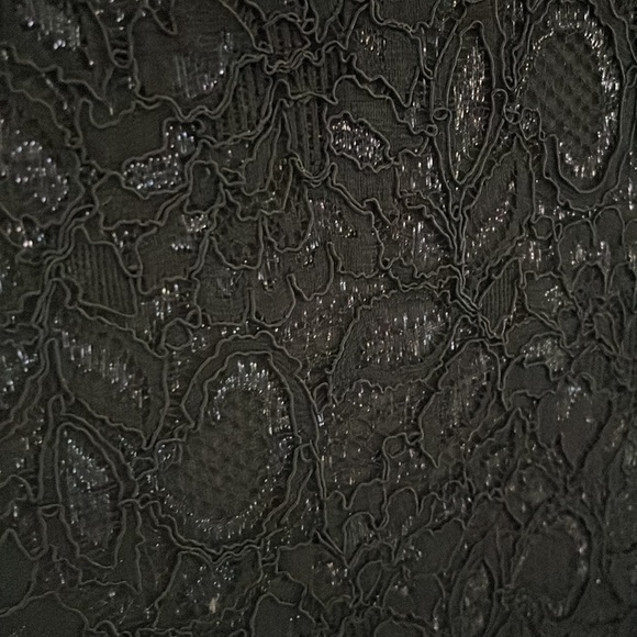 Banana Republic L’Wren Scott navy lace dress - Picture 3 of 4